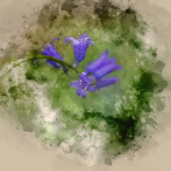 Aquarellmalerei Der Flachen Tiefenschärfe Landschaft Der Blauglockenwälder Frühling — Stockfoto