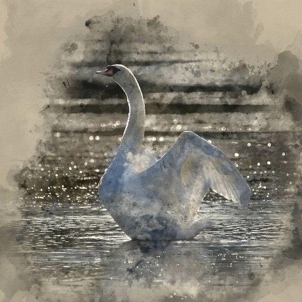 Pintura Acuarela Elegante Hermoso Cisne Mudo Extiende Sus Alas Lago — Foto de Stock