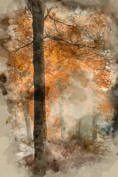 Acuarela Pintura Impresionante Vibrante Evocador Otoño Otoño Niebla Bosque Paisaje —  Fotos de Stock