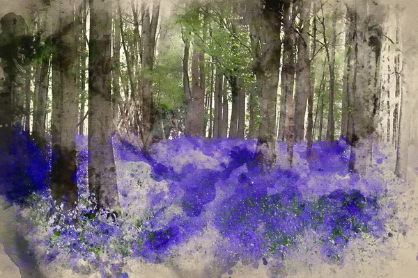 Aquarela Pintura Belo Tapete Flores Sino Azul Paisagem Floresta Primavera — Fotografia de Stock