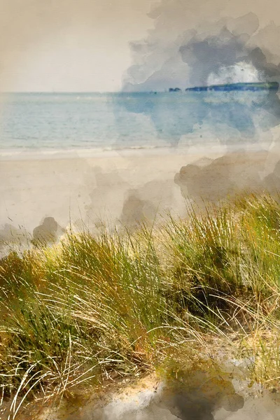 Kum Tepeciklerinin Suluboya Resmi Sığ Alan Derinliğindeki Çimen Plajı Manzarası — Stok fotoğraf