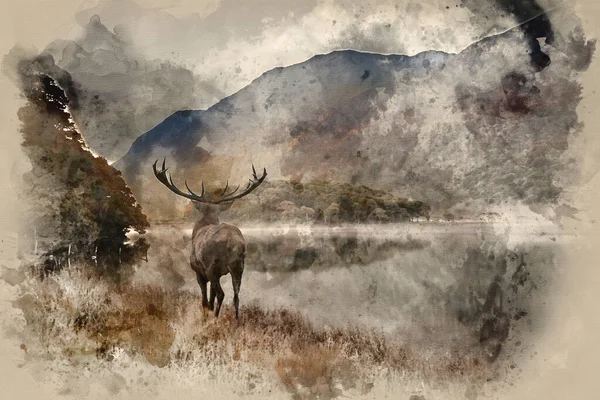 秋の風景の山の風景に向かって湖の向こうに見える美しい赤い鹿のスタッグの水彩画 — ストック写真