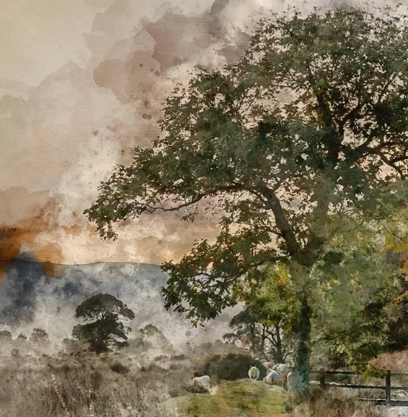 Akvarell Festmény Gyönyörű Köd Köd Őszi Napkelte Felett Vidéken Környező — Stock Fotó