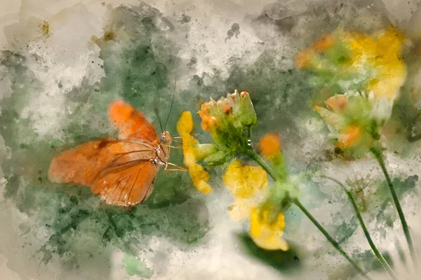 Akwarela Malarstwo Julia Motyl Lepidoptra Nimfalidae Motyl Żółtych Kwiatach — Zdjęcie stockowe