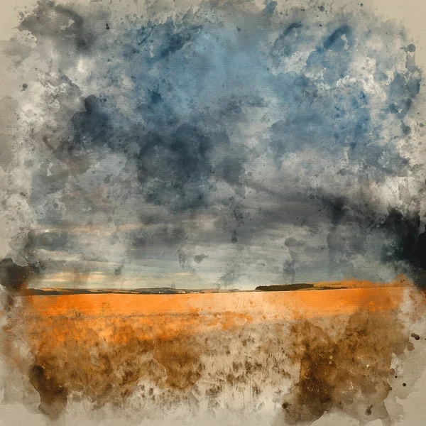 Akvarell Målning Fantastisk Landsbygd Landskap Vete Fält Sommar Solnedgång — Stockfoto