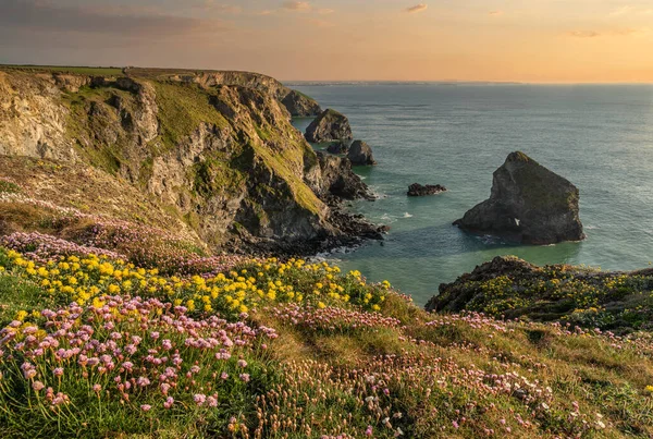 Stunning Landscape Image Golden Hour Cornwall Coastline Bedruthan Steps — Stock Photo, Image