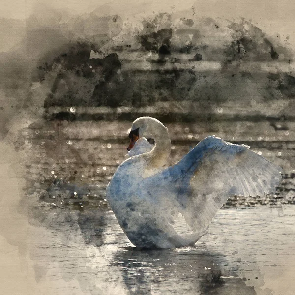 Pintura Acuarela Elegante Hermoso Cisne Mudo Extiende Sus Alas Lago —  Fotos de Stock