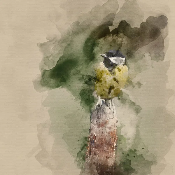 Watercolor Painting Lovely Little Coal Tit Bird Periparus Ater Tree — Foto de Stock