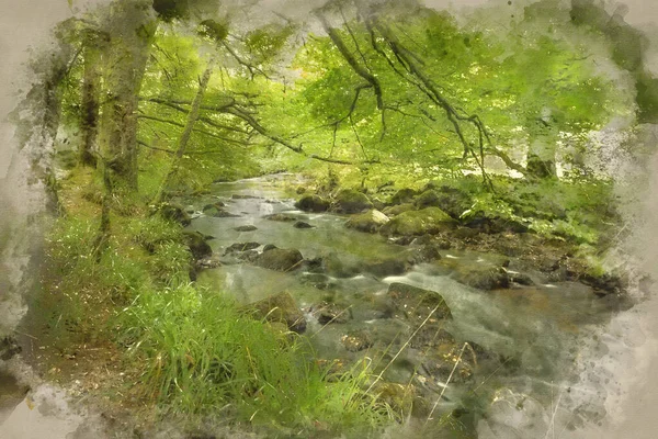 Aquarelle Peinture Paysage Magnifique Rivière Coulant Travers Forêt Luxuriante Golitha — Photo