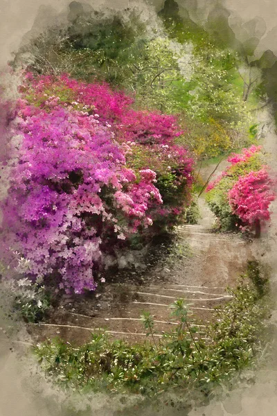 Akvarell Målning Vackert Landskap Bild Gångväg Gränsen Azalea Blommor Våren — Stockfoto