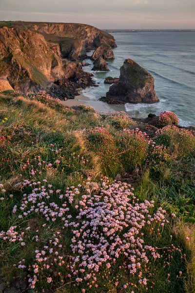 Bedruthan Basamakları Ndaki Cornwall Sahil Şeridinde Altın Saat Boyunca Büyüleyici — Stok fotoğraf