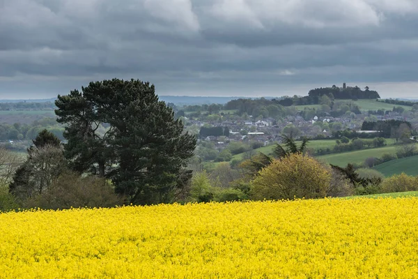 Hermoso Campo Colza Canola Agrícola Paisaje Rural Inglés Mañana Primavera — Foto de Stock