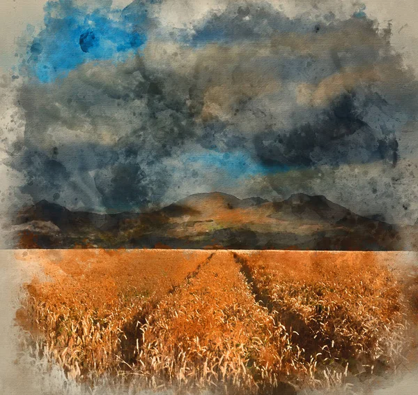 Akvarel Malba Dramatická Obloha Nad Krajinou Pohoří Pšeničným Polem Popředí — Stock fotografie