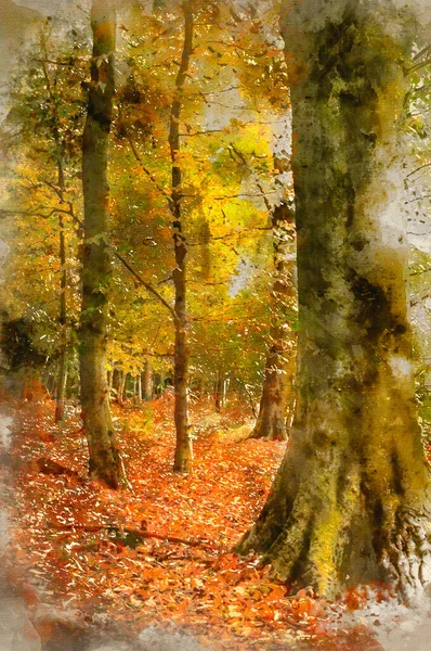 Aquarelle Paysage Forêt Automne Automne Avec Des Couleurs Vives Des — Photo