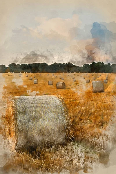 Watercolor Painting Beautiful Landscape Image Hay Bales Summer Field Colorful — Stock Photo, Image
