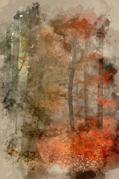 一幅森林景观图像中的季节从夏秋变化的水彩画 — 图库照片