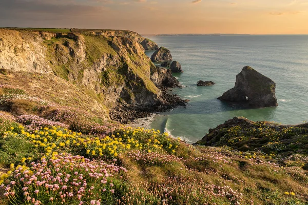 Bedruthan Basamakları Ndaki Cornwall Sahil Şeridinde Altın Saat Boyunca Büyüleyici — Stok fotoğraf