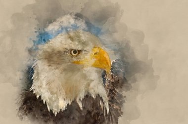 Dağ manzarasına karşı Amerikan umut sembolünün suluboya resmi.