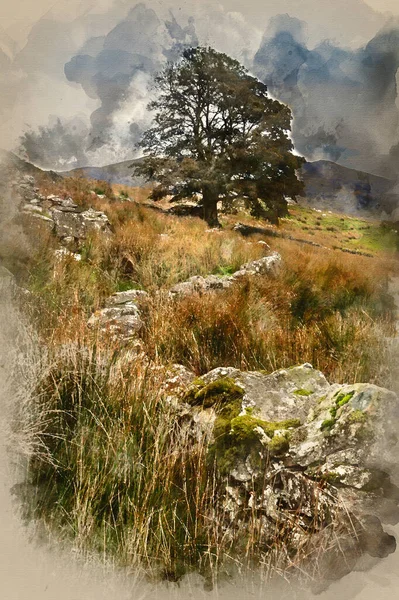 Watercolor Painting Evening Landscape Image Llyn Dywarchen Lake Snowdonia National — стокове фото