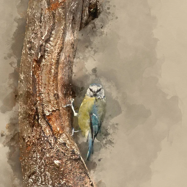 Watercolour Painting Beautiful Blue Tit Cyanistes Caeruleus Tree Forest Landscape — Stok fotoğraf