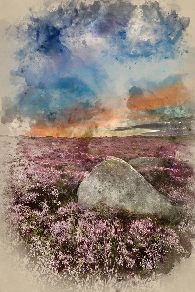 Akvarel Malba Krásný Úsvit Krajina Obrázek Vřesu Higger Tor Létě — Stock fotografie