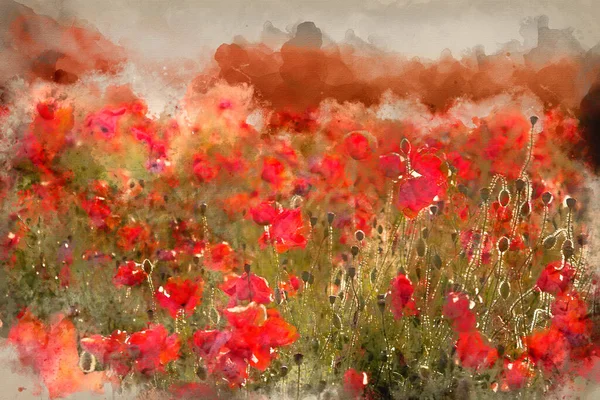 Watercolour Painting Beautiful Landscape Image Summer Poppy Field Stuning Sunset — Stock Photo, Image