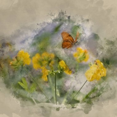 Julia kelebek lepidoptra nymphalidae 'nin sarı çiçekli suluboya resmi