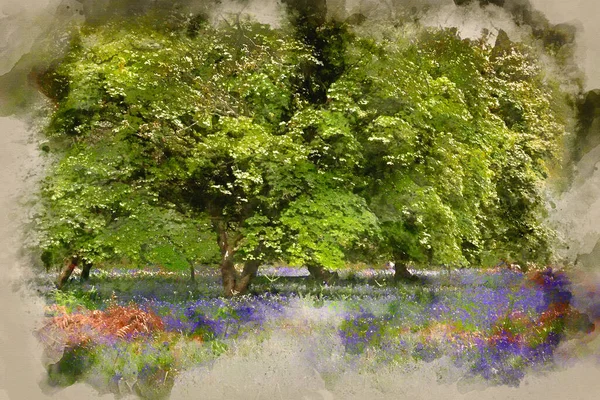 Aquarelle Belle Image Paysage Bois Cloche Dans Campagne Anglaise Printemps — Photo