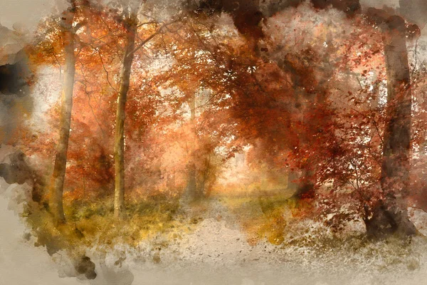 Acuarela Pintura Impresionante Vibrante Evocador Otoño Otoño Niebla Bosque Paisaje —  Fotos de Stock