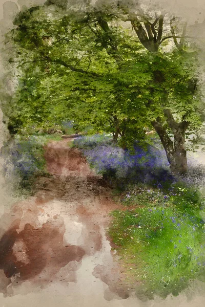 Watercolor Painting Beautiful Landscape Image Blubell Woods English Countryside Spring — Stock Photo, Image