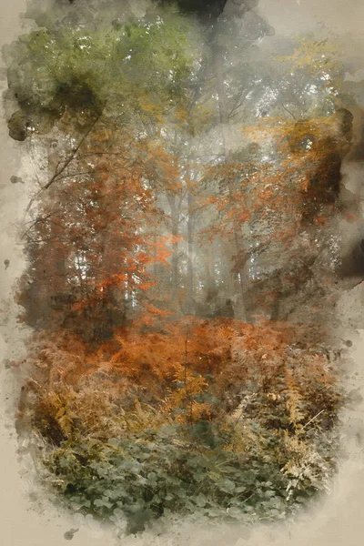Akvarel Malba Krásné Podzimní Lesní Krajiny — Stock fotografie