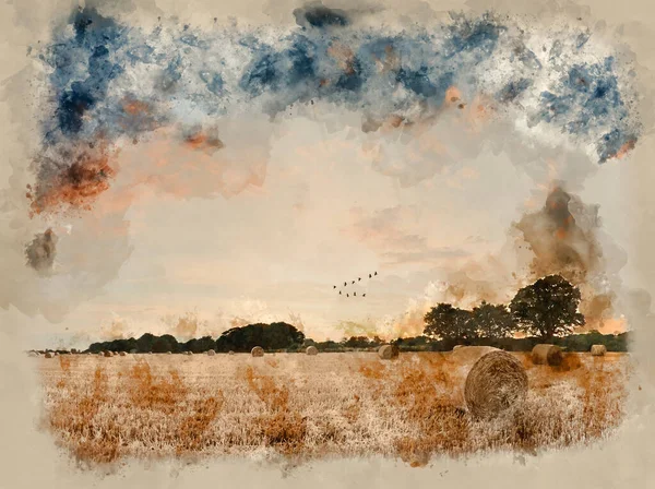 Aquarela Pintura Verão Pôr Sol Paisagem Sobre Campo Fardos Feno — Fotografia de Stock