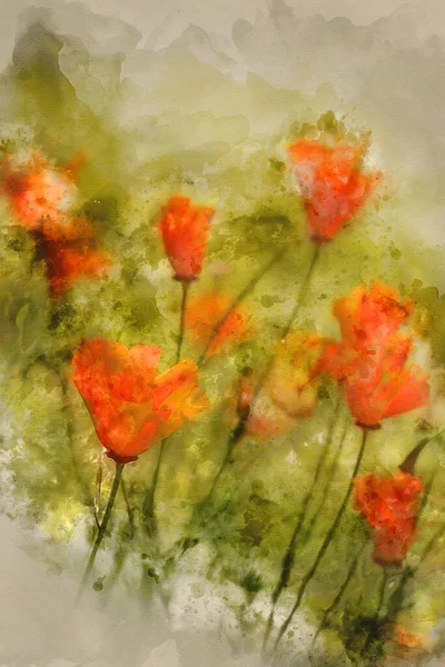 Aquarel Schilderij Van Macro Beeld Van Californië Papaver Bloemen Landschap — Stockfoto