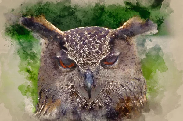 Akvarel Malba Krásný Obraz Evropského Eagle Owl Bubo Bubo — Stock fotografie