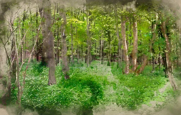 春の森の風景の中で美しい鮮やかな緑の成長の水彩画 — ストック写真