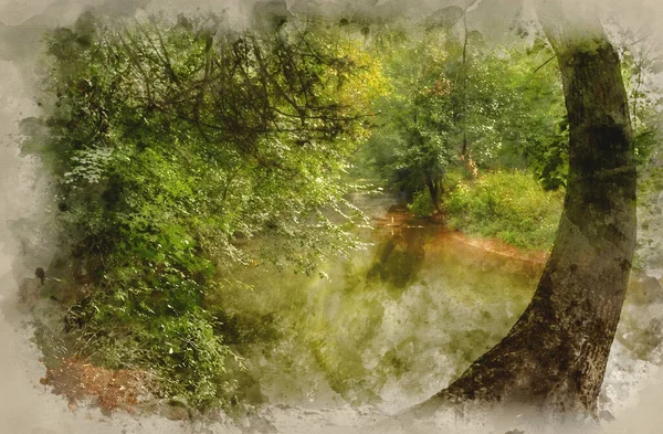 Akvarellmålning Förtrollad Skogsscen Långsamt Rinnande Ström Med Levande Reflektioner — Stockfoto