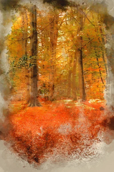 Watercolour Painting Beautiful Landscape Image Forest Covered Autumn Fall Color — Stock Photo, Image