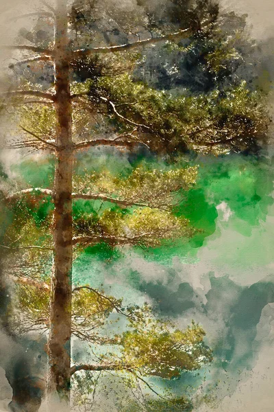 色彩艳丽的老粘土坑采石场湖水彩画 — 图库照片
