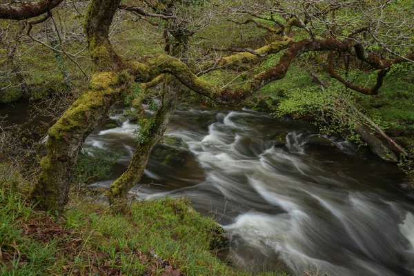 Hermosa Imagen Del Paisaje Primavera Watrersmeet Devon Inglaterra Donde Dos — Foto de Stock