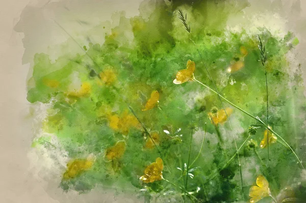 Watercolour Painting Macro Image Vibrant Buttercups Wildflower Meadow Landscape — Stock Photo, Image