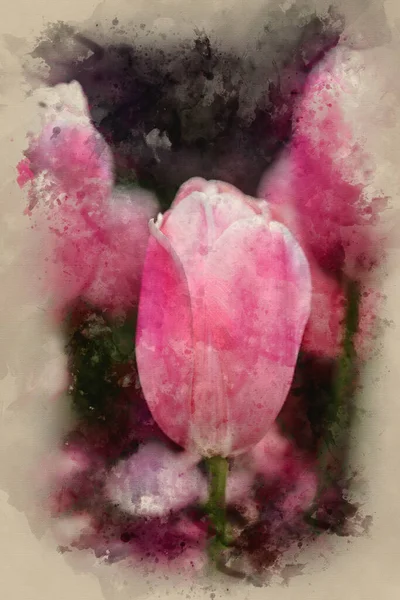 Malarstwo Akwarelowe Piękne Artystyczne Zbliżenie Makro Obraz Wiosennego Tulipana — Zdjęcie stockowe