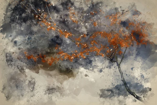 Malarstwo Akwarelowe Jesiennej Jesieni Rzeka Krajobrazu Leśnego Płynąca Przez Złote — Zdjęcie stockowe