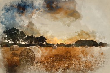 Kırsal alanda saman balyalarının üzerinde güzel yaz günbatımının suluboya resmi