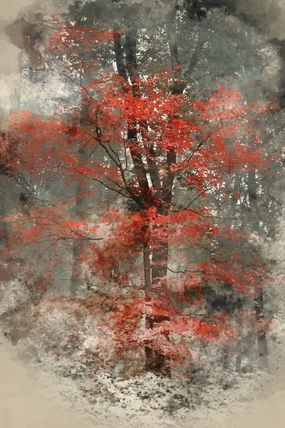 超現実的な代替色ファンタジーの水彩画秋の森の風景コンセプチュアルなイメージ — ストック写真