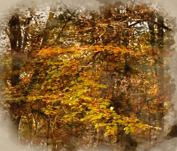 Aquarellmalerei Der Schönen Herbstlandschaft Waldlandschaft Morgen — Stockfoto