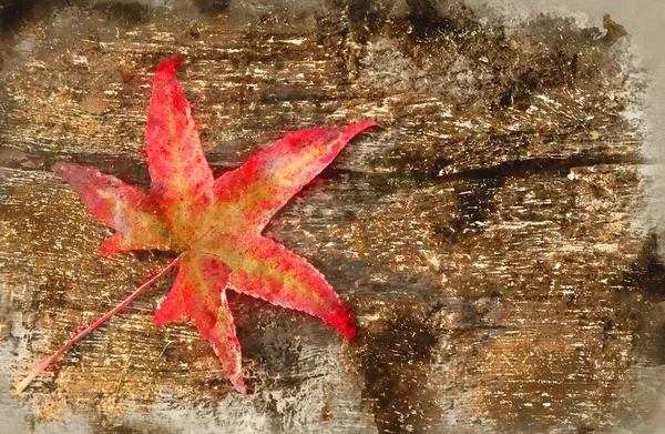 Acuarela Pintura Otoño Rojo Hoja Arce Caída Grunge Textura Madera —  Fotos de Stock