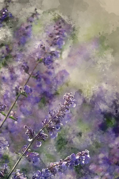 Pittura Acquerello Lavanda Selvatica Paesaggio Vegetale Con Profondità Campo Poco — Foto Stock