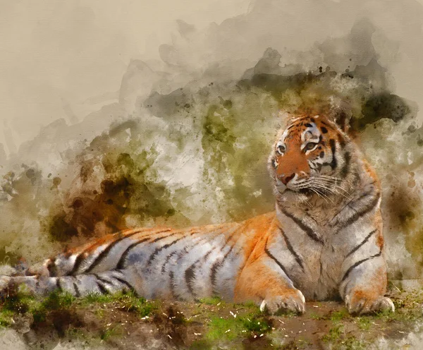 Aquarelle Belle Tigre Relaxant Sur Colline Herbeuse — Photo