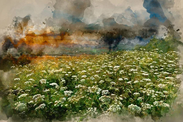 Aquarelverf Schilderij Van Prachtige Zonsondergang Landschap Afbeelding Engels Glooiend Platteland — Stockfoto
