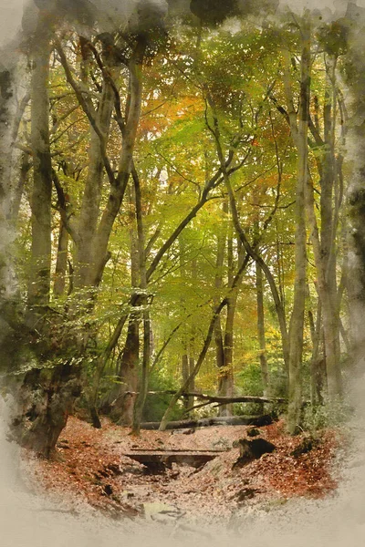 Акварельная Живопись Красивых Ярких Осенних Цветов Лесном Пейзаже — стоковое фото